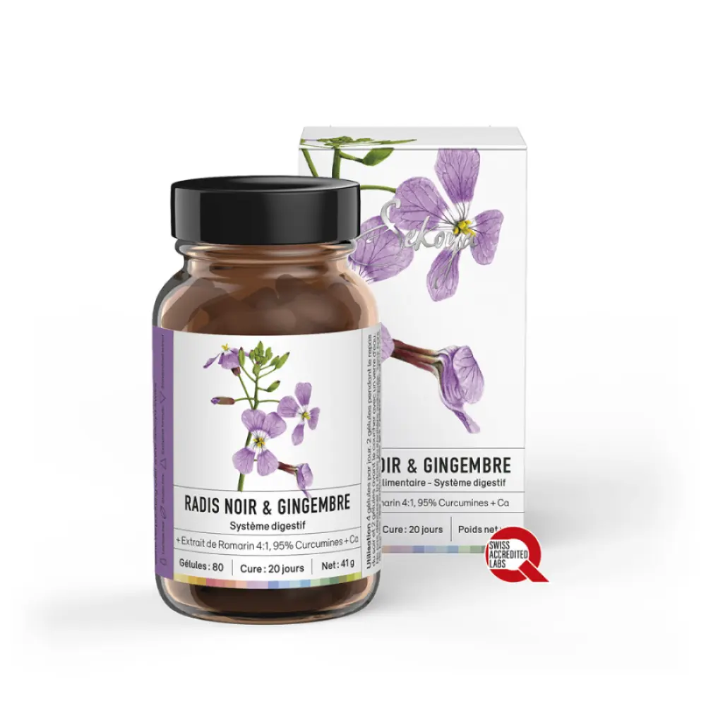 RadisNoir_Gingembre_logo Q_2024