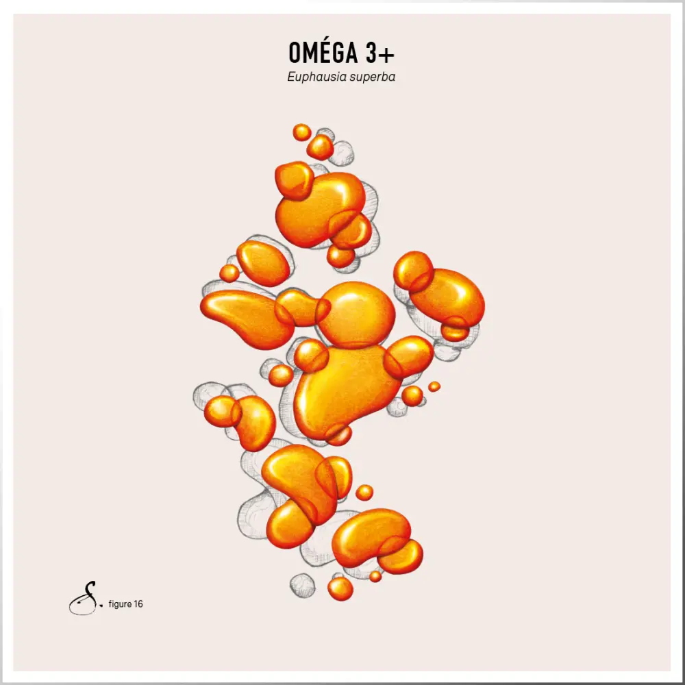 Omega Three Animation Oméga 3