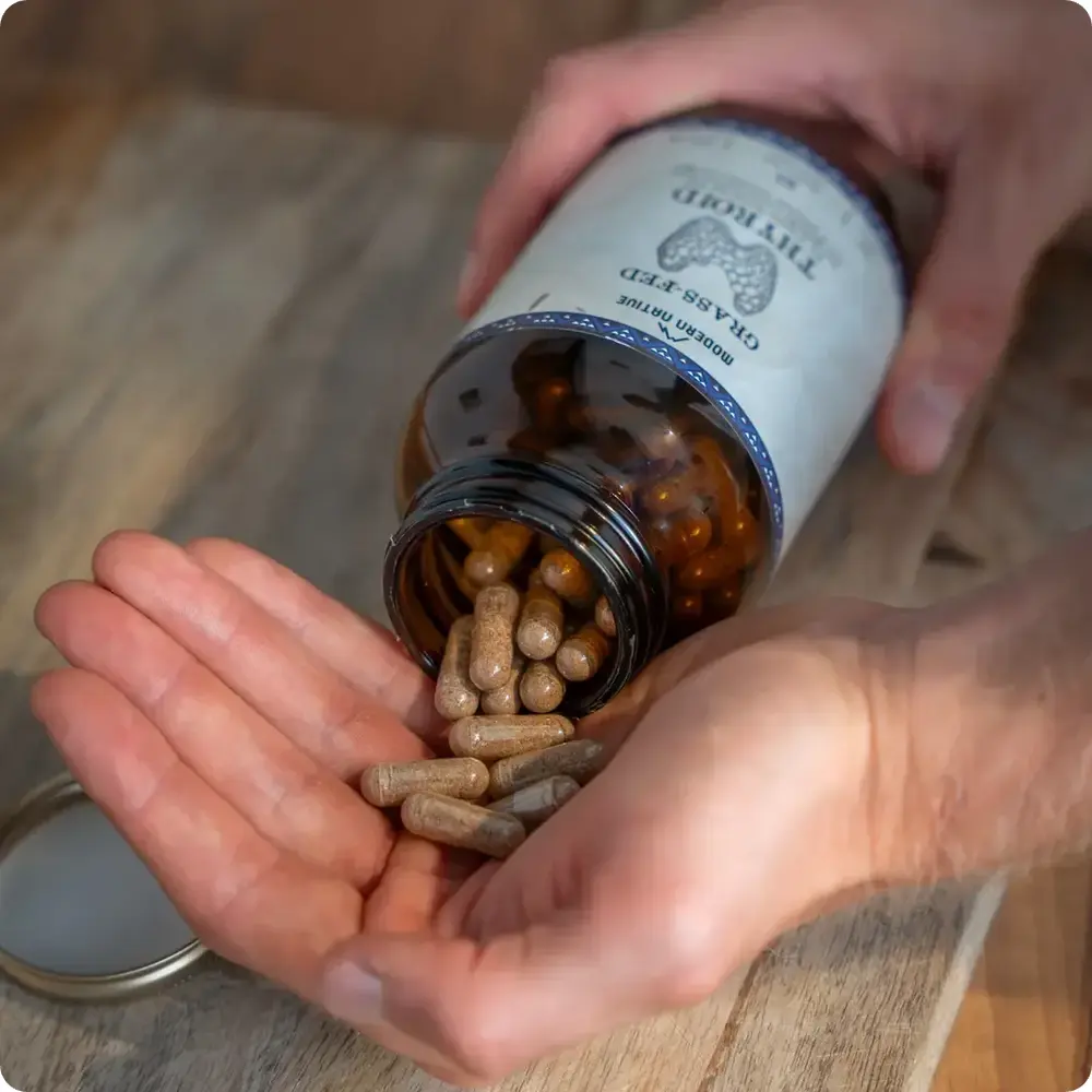 CopyofMODERNNATIVEAUGUST_98__jpg_1000x1000