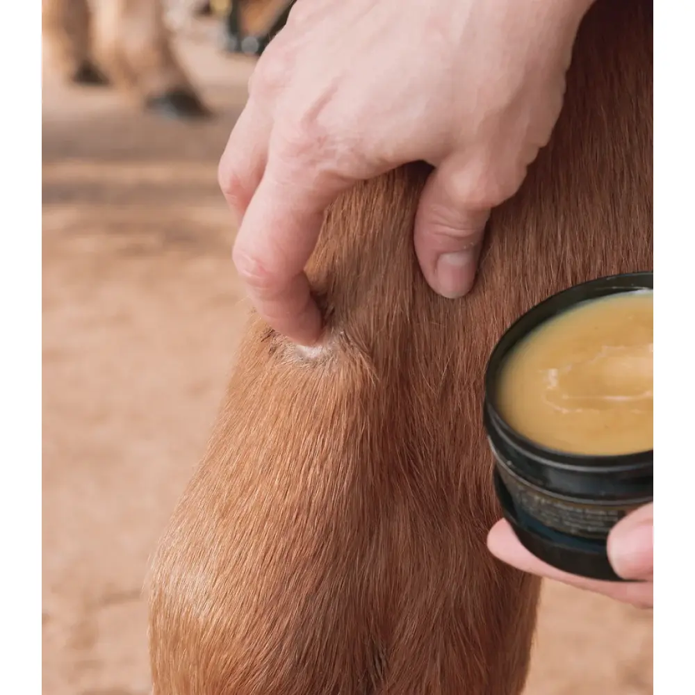 schorfsalbe anwendung