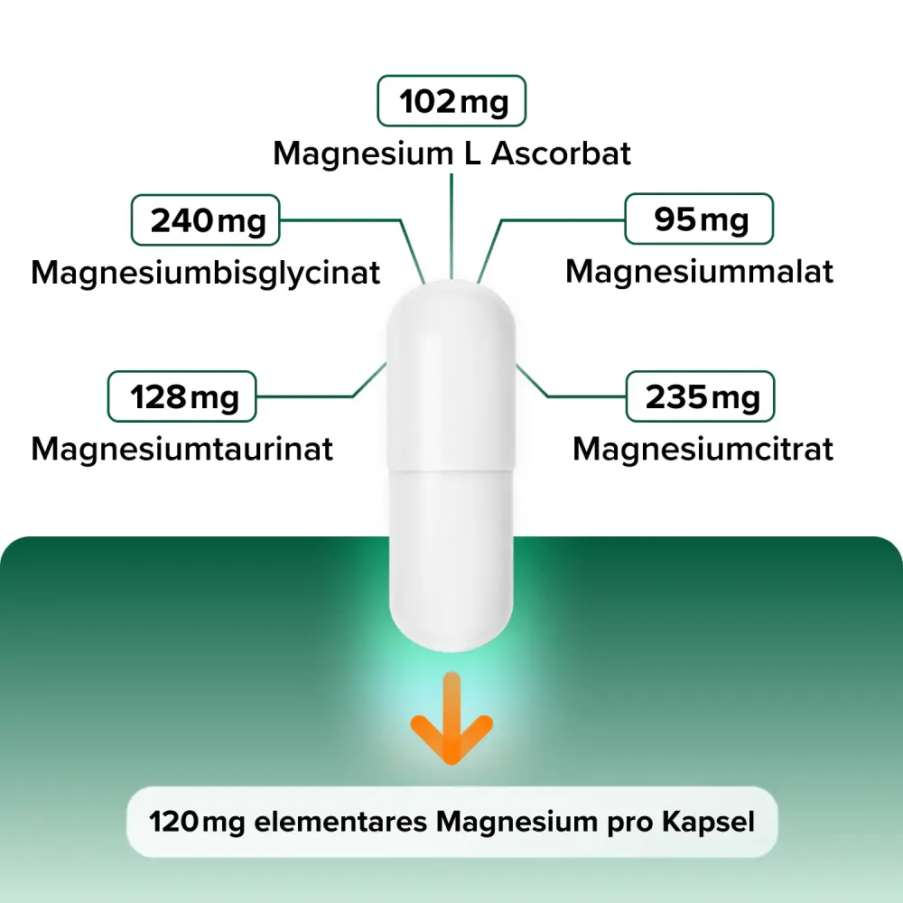 intensive-magnesium-komplex-3