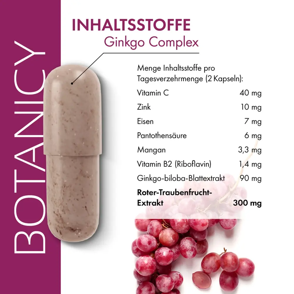 a521-ginkgo-complex-17504259-05-1200px_1920x1920