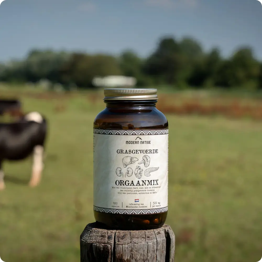 Copy_of_Untitled-055_1000x1000