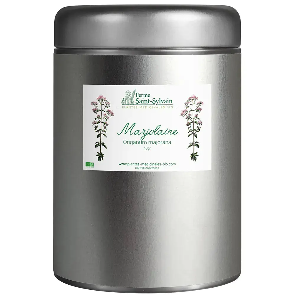 marjolaine
