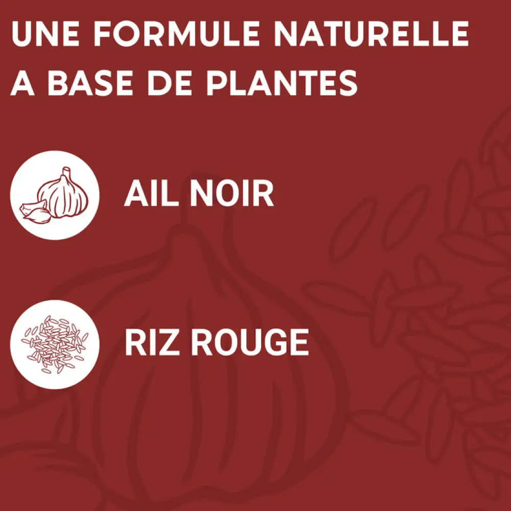 3_11ef328c-3646-4440-99ba-58660b65539f_720x