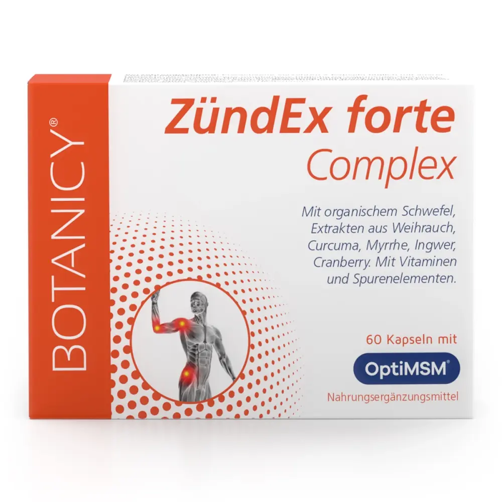 a480-zuendex-forte-complex-MSM-Kapseln-mit-OptiMSM-1_1920x1920