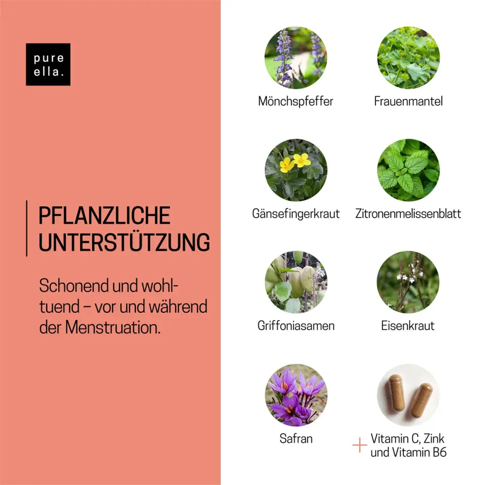 a703-PMS-17503521-08-pflanzlich-1200px