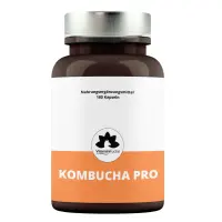 kombucha-kaufen