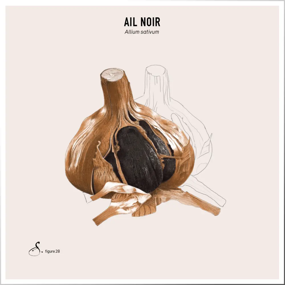 Ail_Noir_tableau