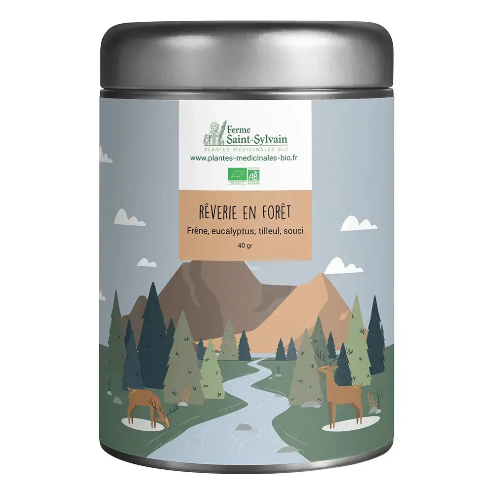 tisane-foret