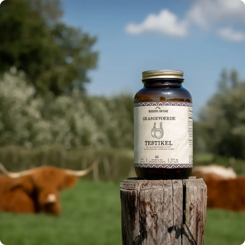 Copy_of_Untitled-054_1000x1000