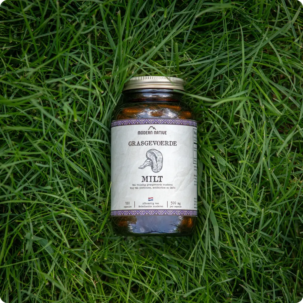 Copy_of_Untitled-066_1000x1000