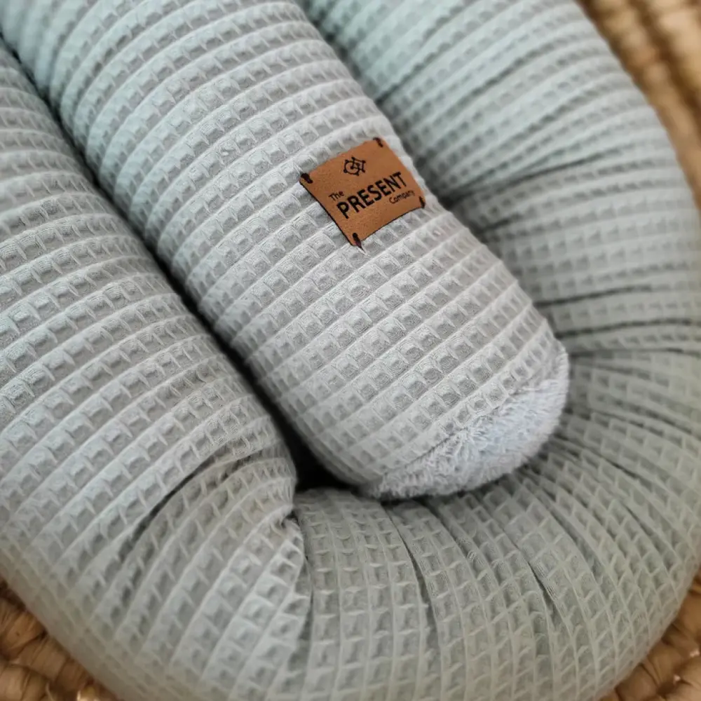 20230307_092544_720x