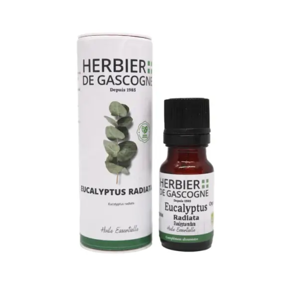 Huile Essentielle d'Eucalyptus Radiata Bio - 10ml