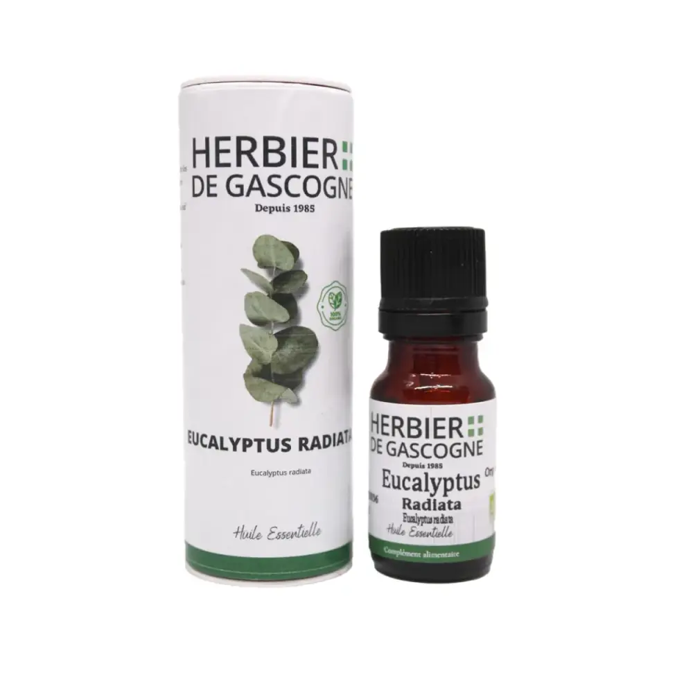 huile-essentielles_EucalyptusradiataCF