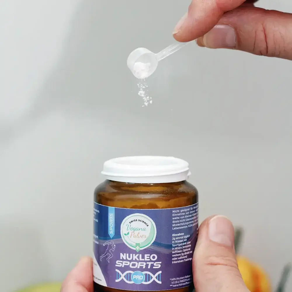 21_jpg_a6e0c344-dba5-45c1-ae36-7ca1e60118bc