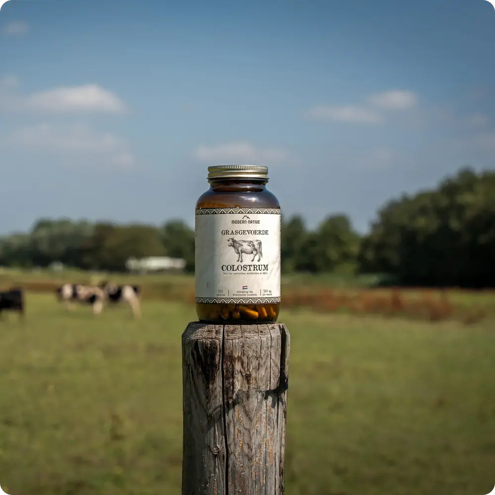 Copy_of_Untitled-056_1000x1000