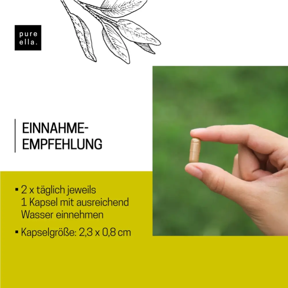 A810-Stoffwechsel-Aktiv-18768339-04-1200px_1920x1920