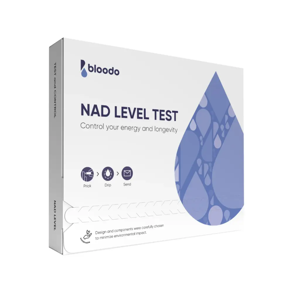 bloodo-nad-test