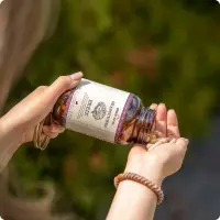 Copy_of_Untitled-096_1000x1000