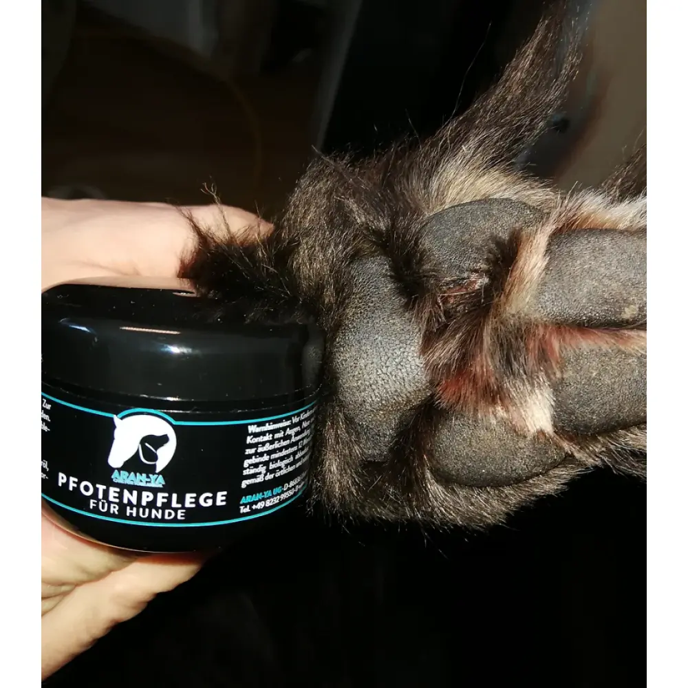 pfotenpflege anwendung