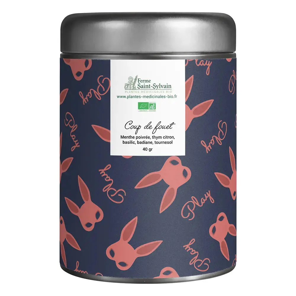 tisane-coup-de-fouet