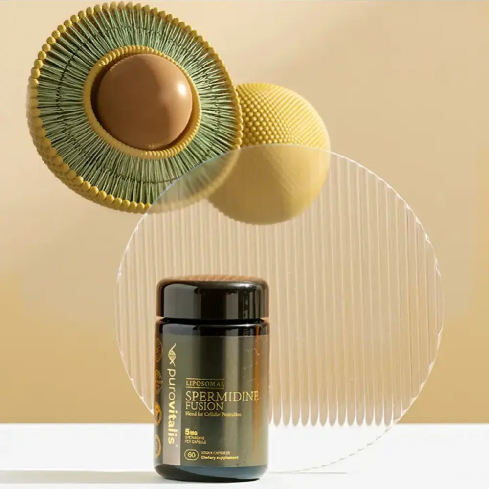 liposomal-spermidine-absorption-buy-now