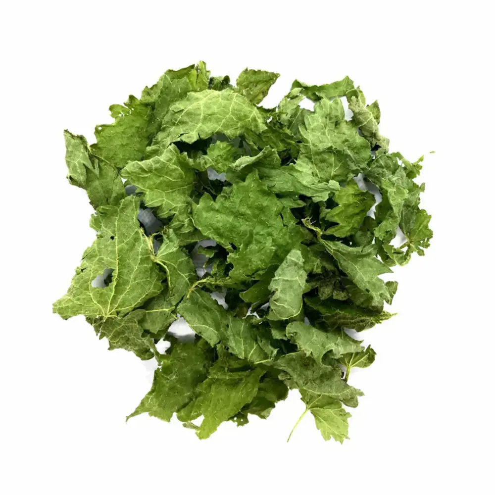 infusion-ortie-piquante-bio