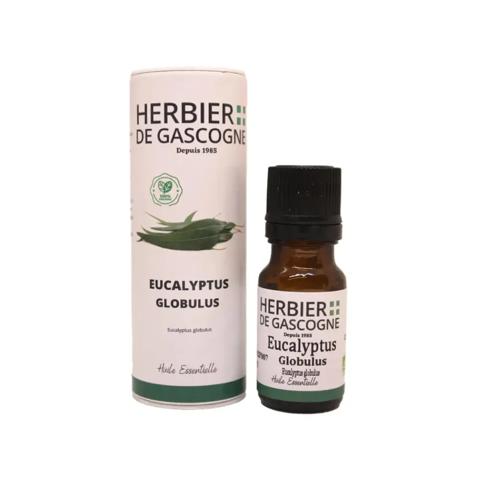 huile-essentielles_EucalyptusglobulusCF