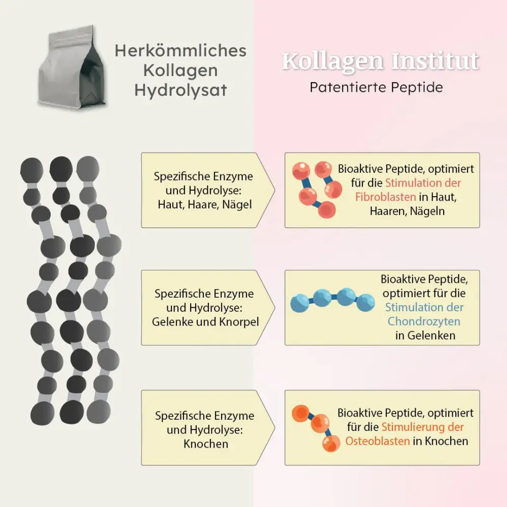 kollagen-peptide-comparison-de_f681a82e-c425-41da-a26a-61dff37146db-887427