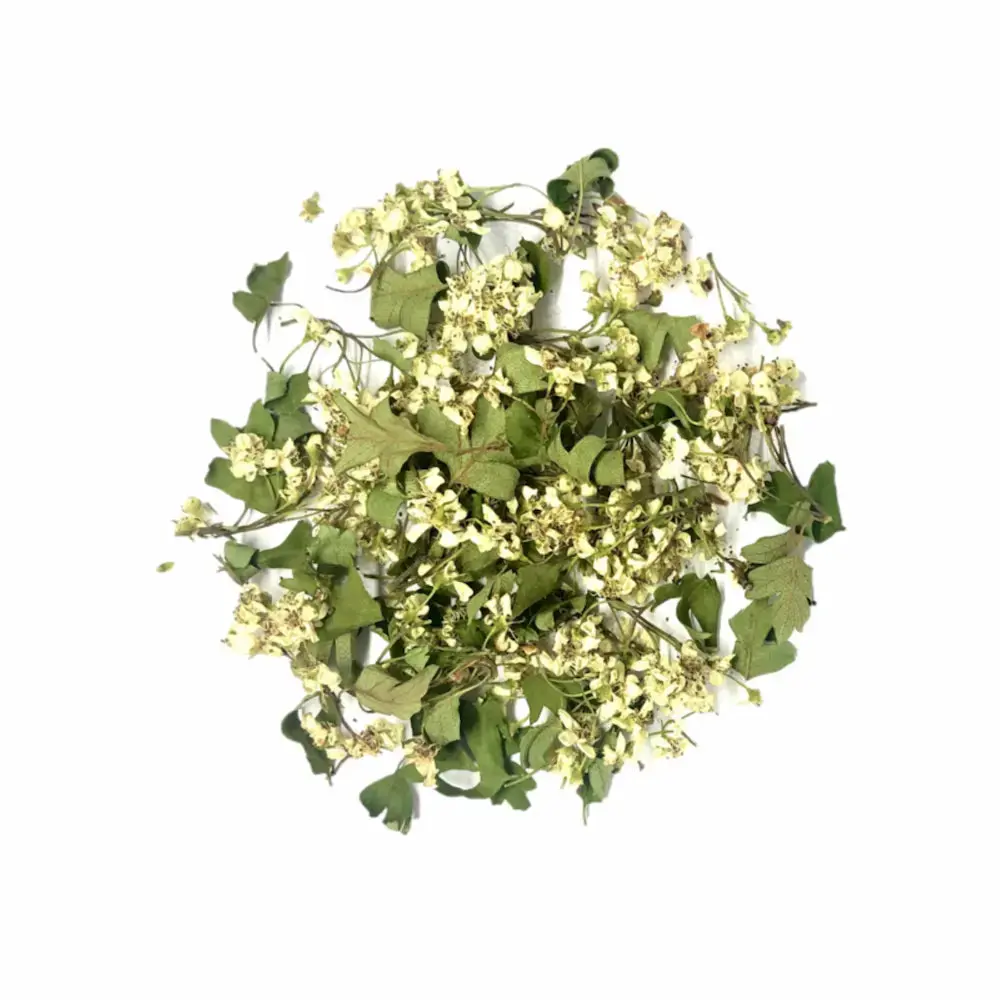 infusion-aubepine-bio