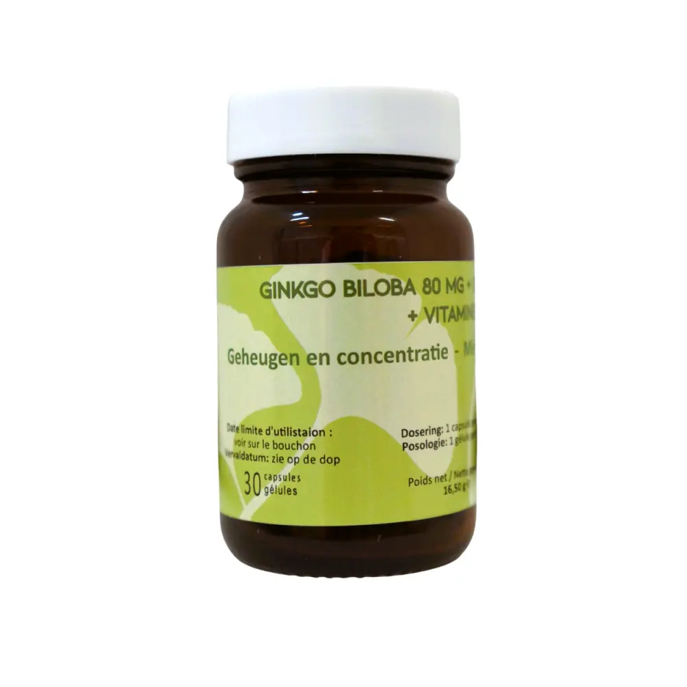 GINKGO BILOBA POT PNG OK