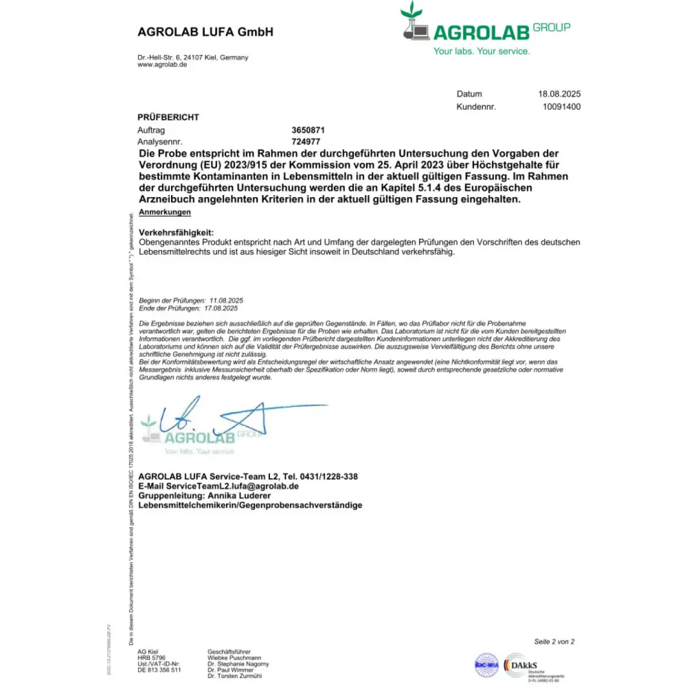 Laborbericht-Magnesium_2