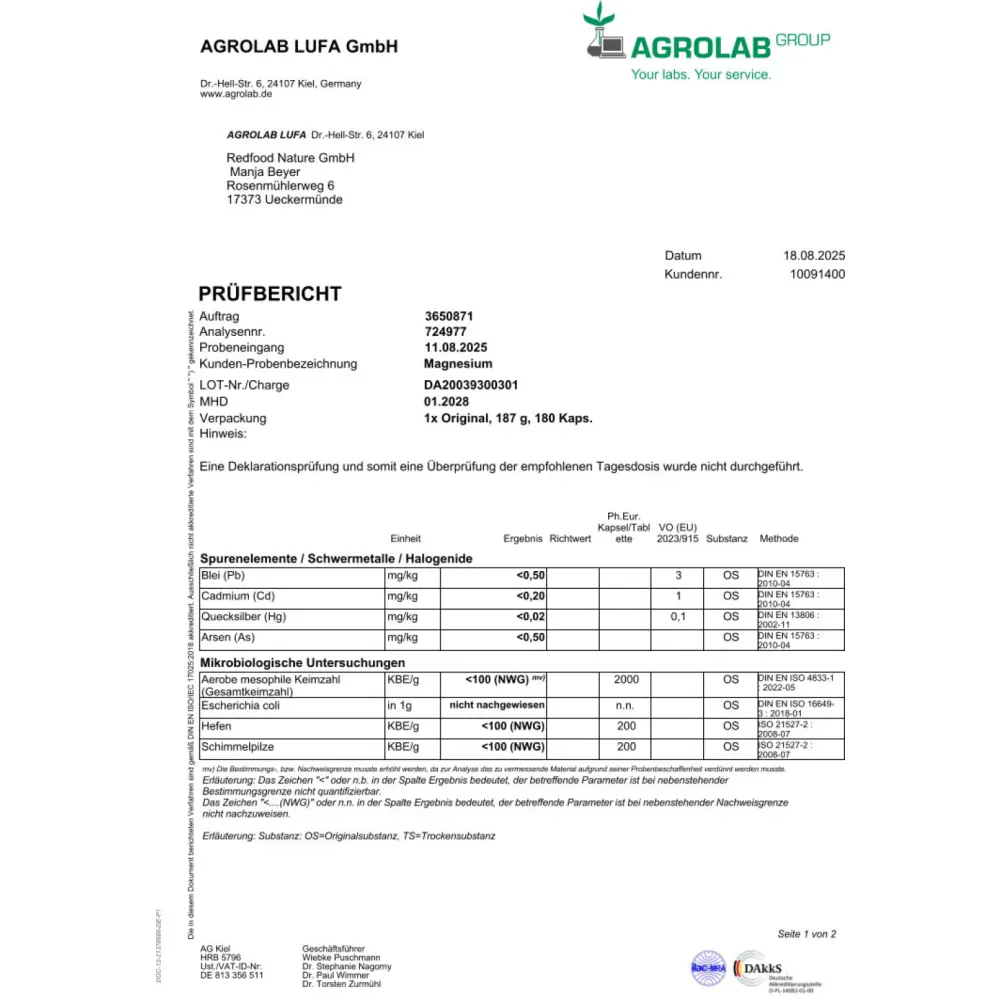 Laborbericht-Magnesium_1