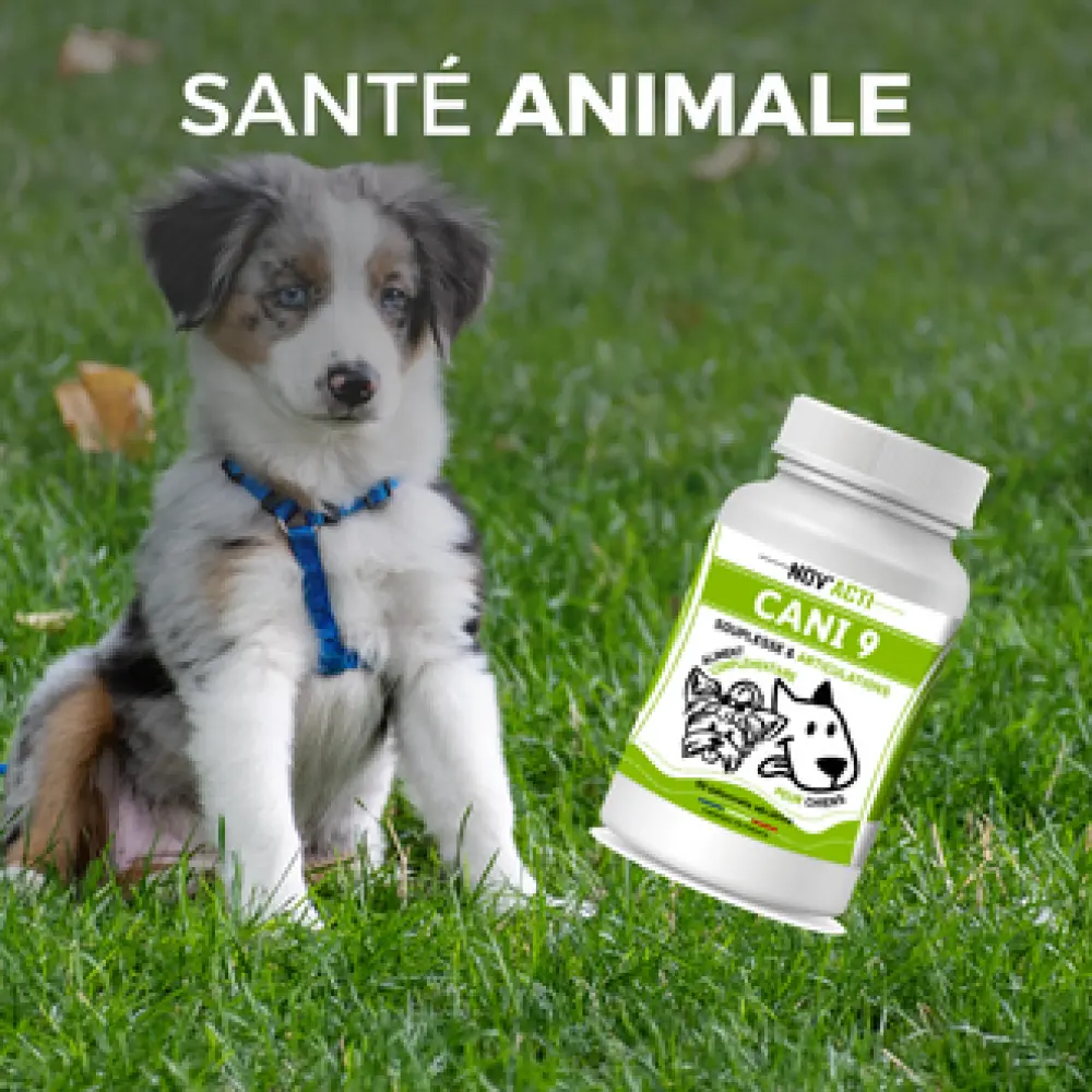 image SITE SANTE ANIMALE