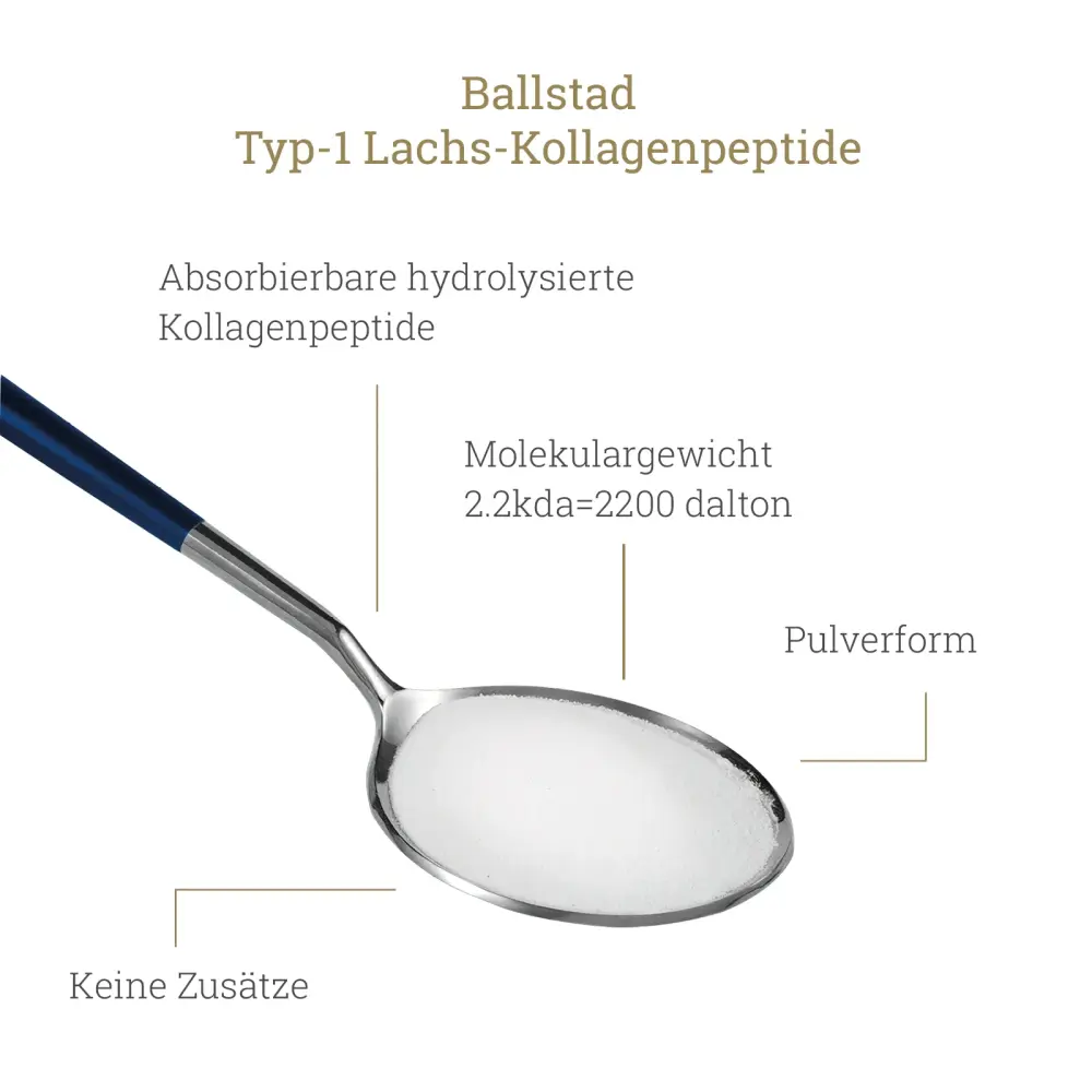 202504_DE-Mcoll_info1