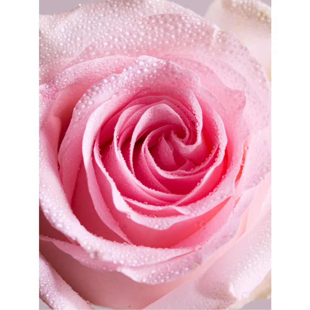 HOREE ROUTINE RÉGÉNÉRANT-7