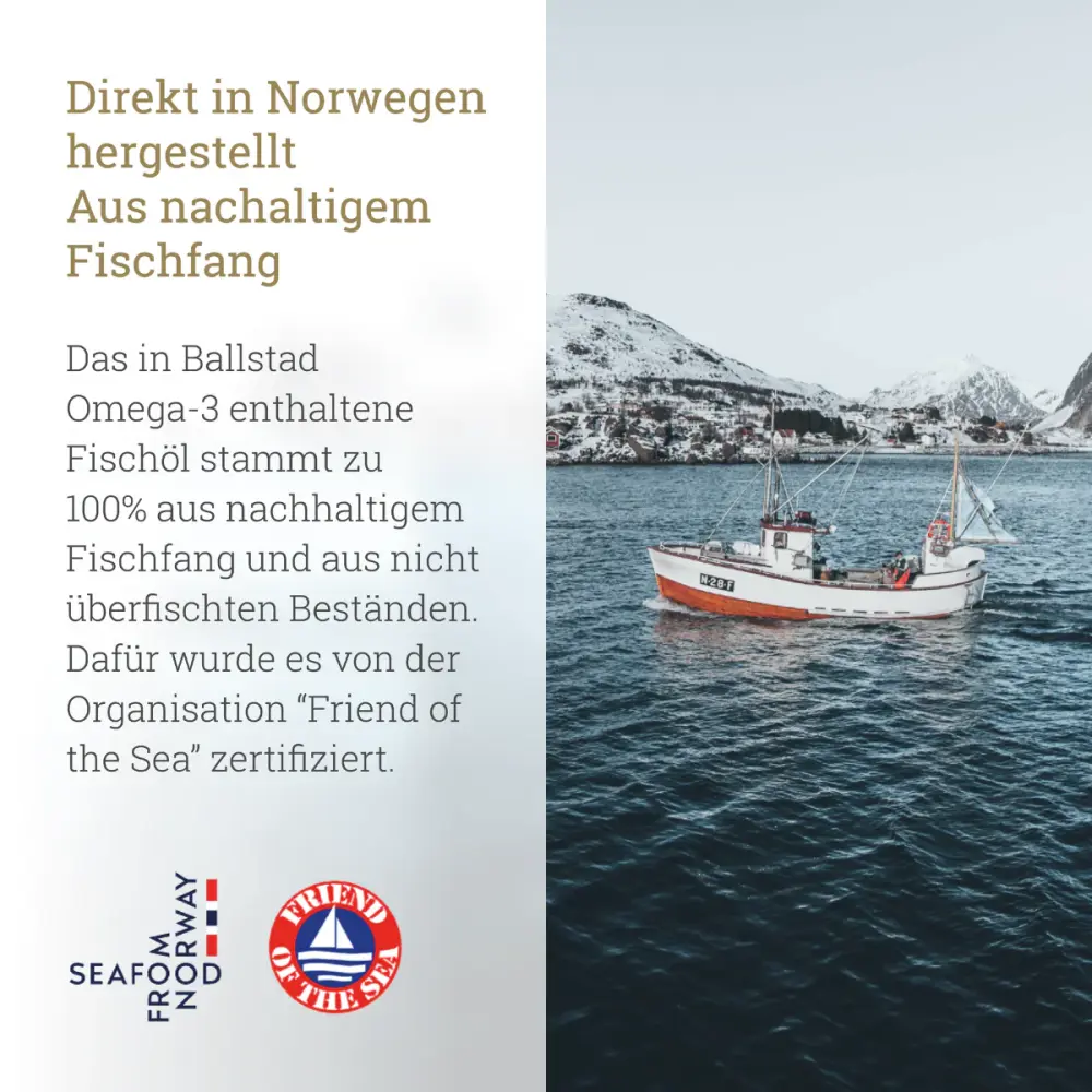 O3-galleryset-DE5_c70bab57-a5c1-4f57-9c92-f4096a58b76f