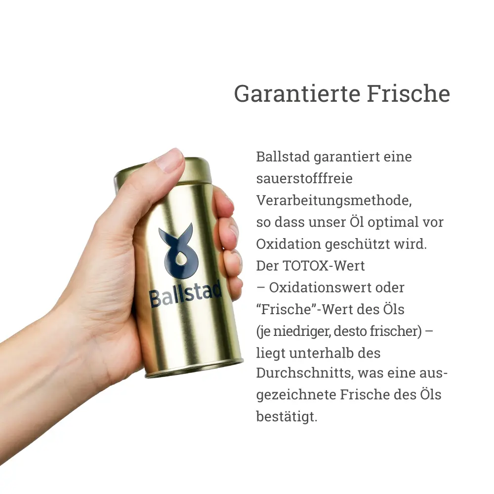 202512_GL-O3_SP fresh_DE