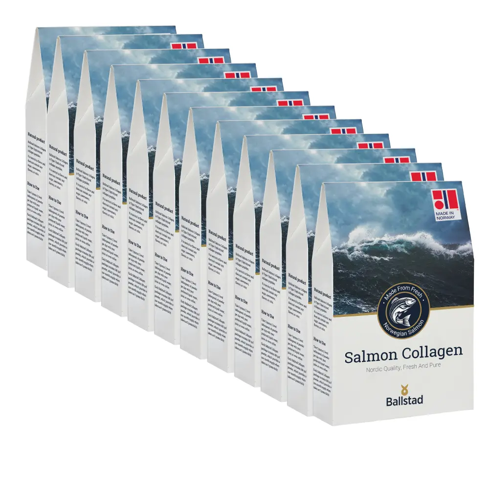 202512_GL-MCOLL_RPx12