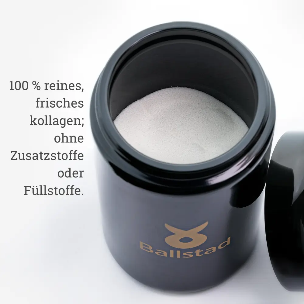 202512_GL-MCOLL_SP_fresh_DE