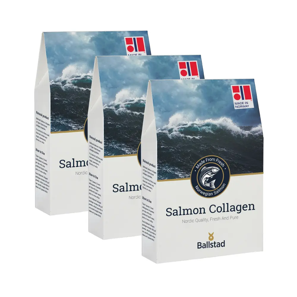 202512_GL-MCOLL_RPx3