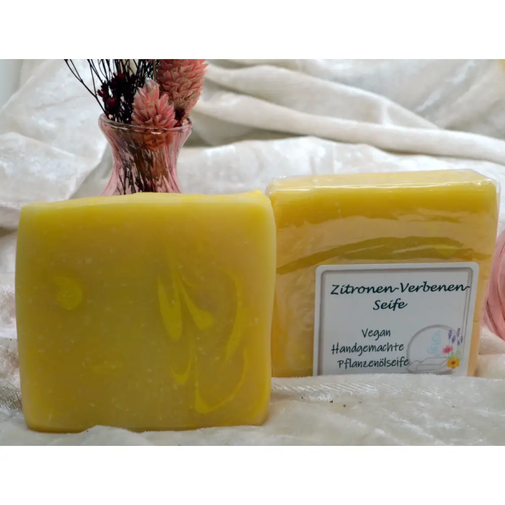 20241104_Zitronenverbene2