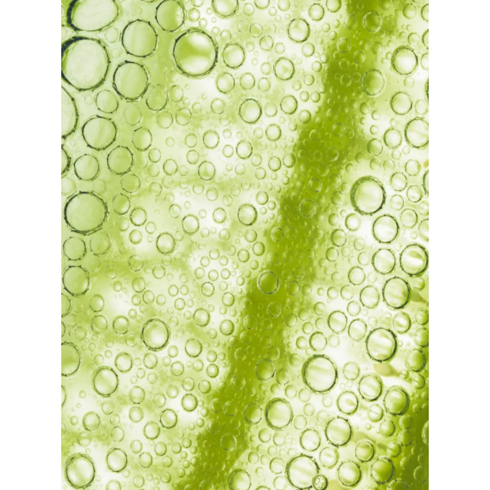 HOREE-MACRO-ALOE-VERA