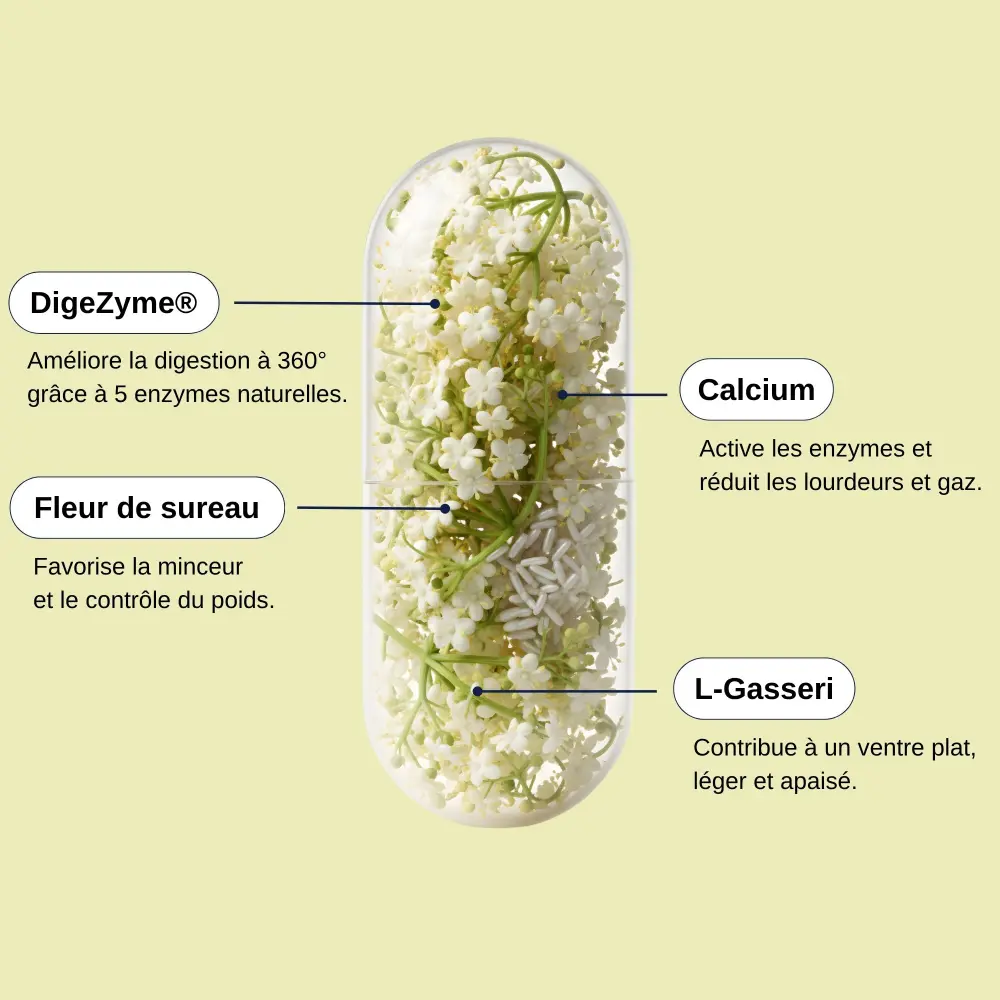 Probio Slim Digest_3