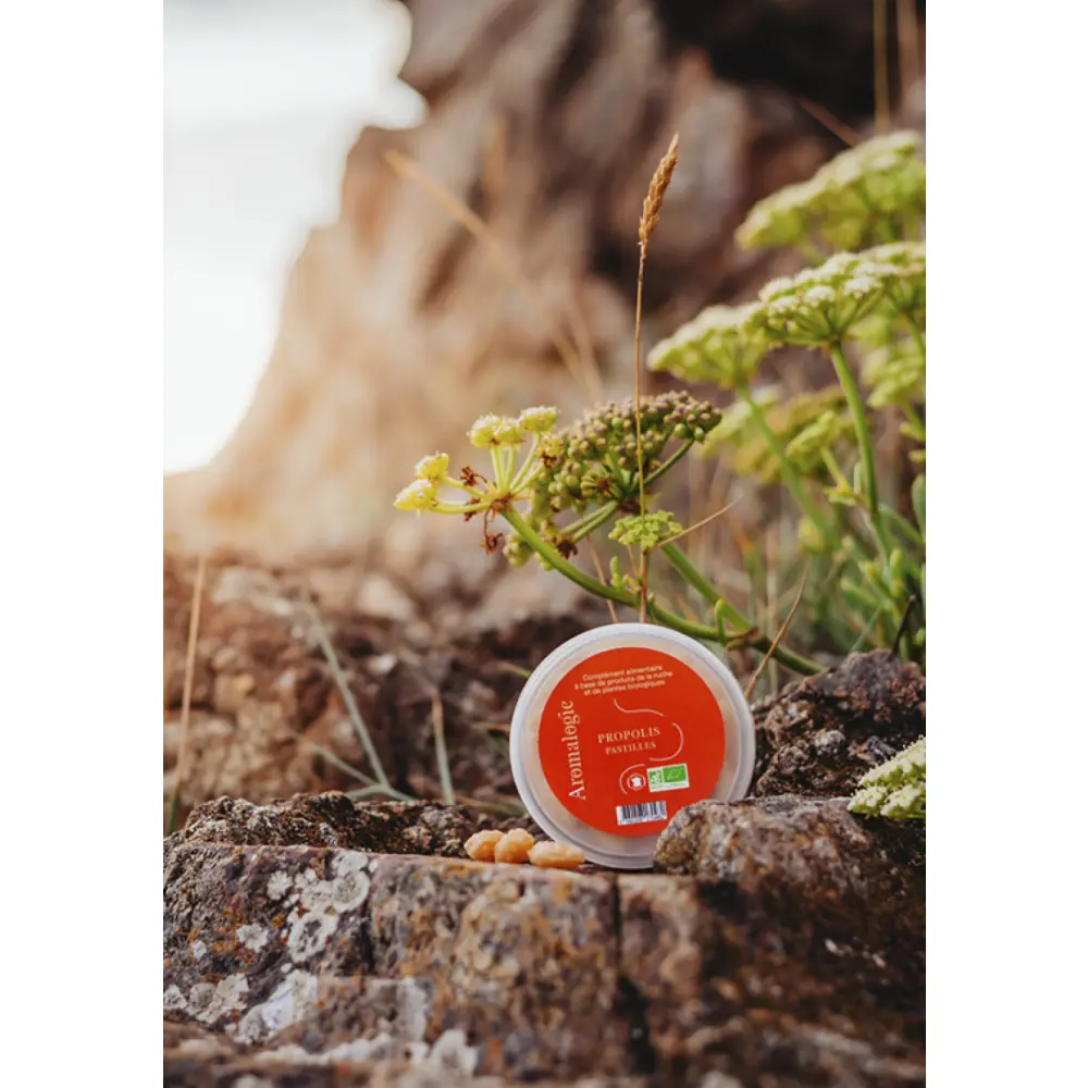 PASTILLES PROPOLIS_02