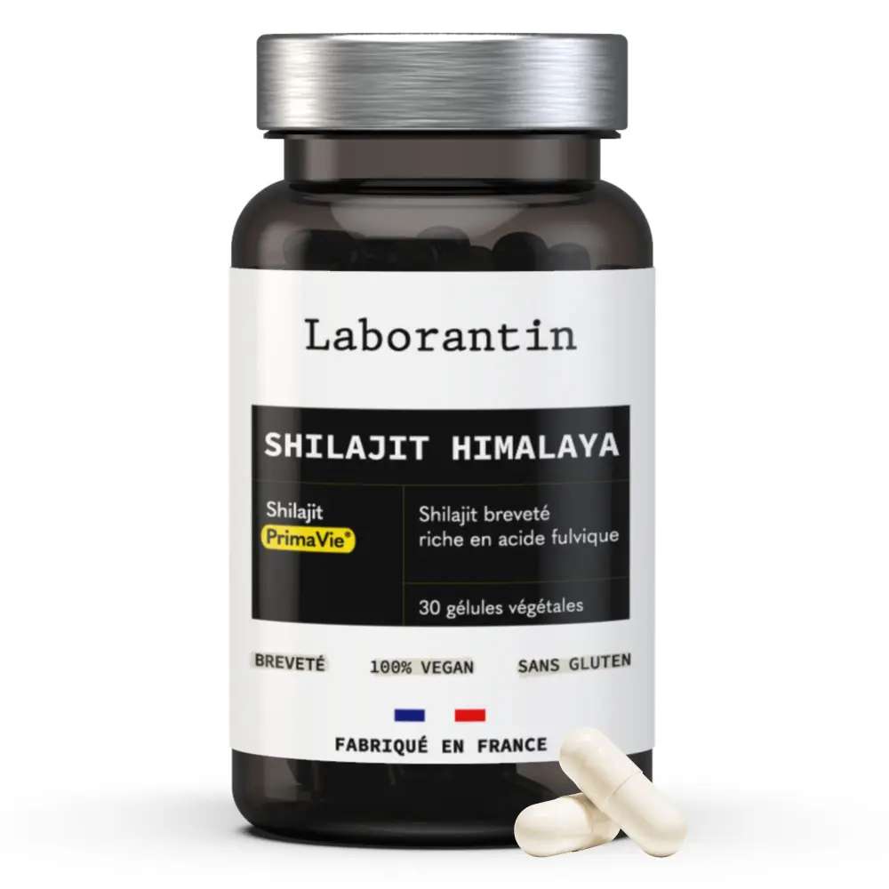 Shilajit Himalaya_1 mois