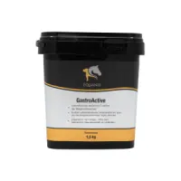 GastroActive - Magen Pferd