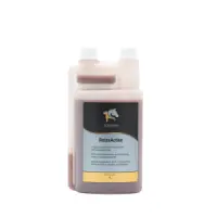 RelaxActive – Nerven Pferd