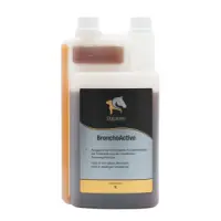  BronchoActive – Atemwege Pferd